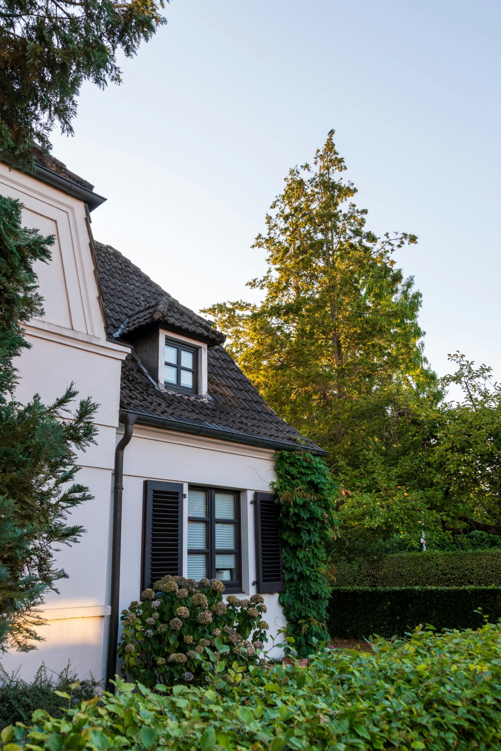 pexels-strannik-sk-33556995